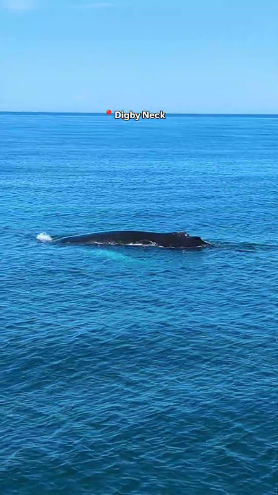 The BEST Nova Scotia Road Trip Itinerary