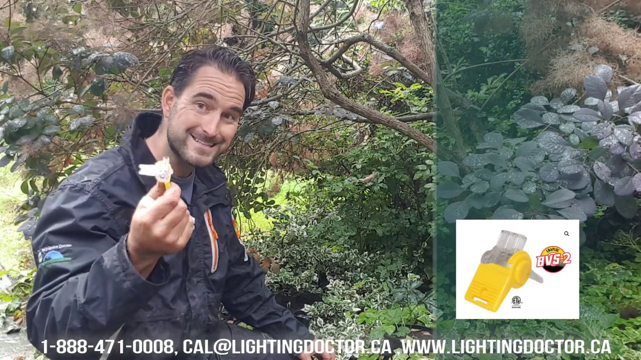 How to Wire Low Voltage Landscape Lighting - Waterproof Wiring ...