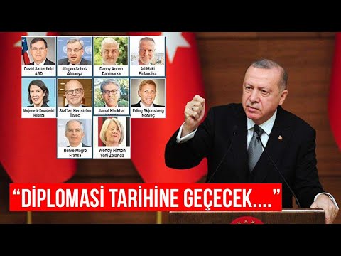 Emekli Büyükelçi değerlendirdi: Erdoğan'ın 10 büyükelçiye kapıyı göstermesi ne anlama geliyor?