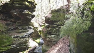 Ansel's Cave in Geauga County: Exploring the historic destination in Geauga County's West Woods