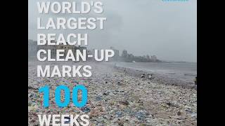 Largest Beach Clean-Up Marks 100 Weeks