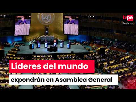 UN General Assembly