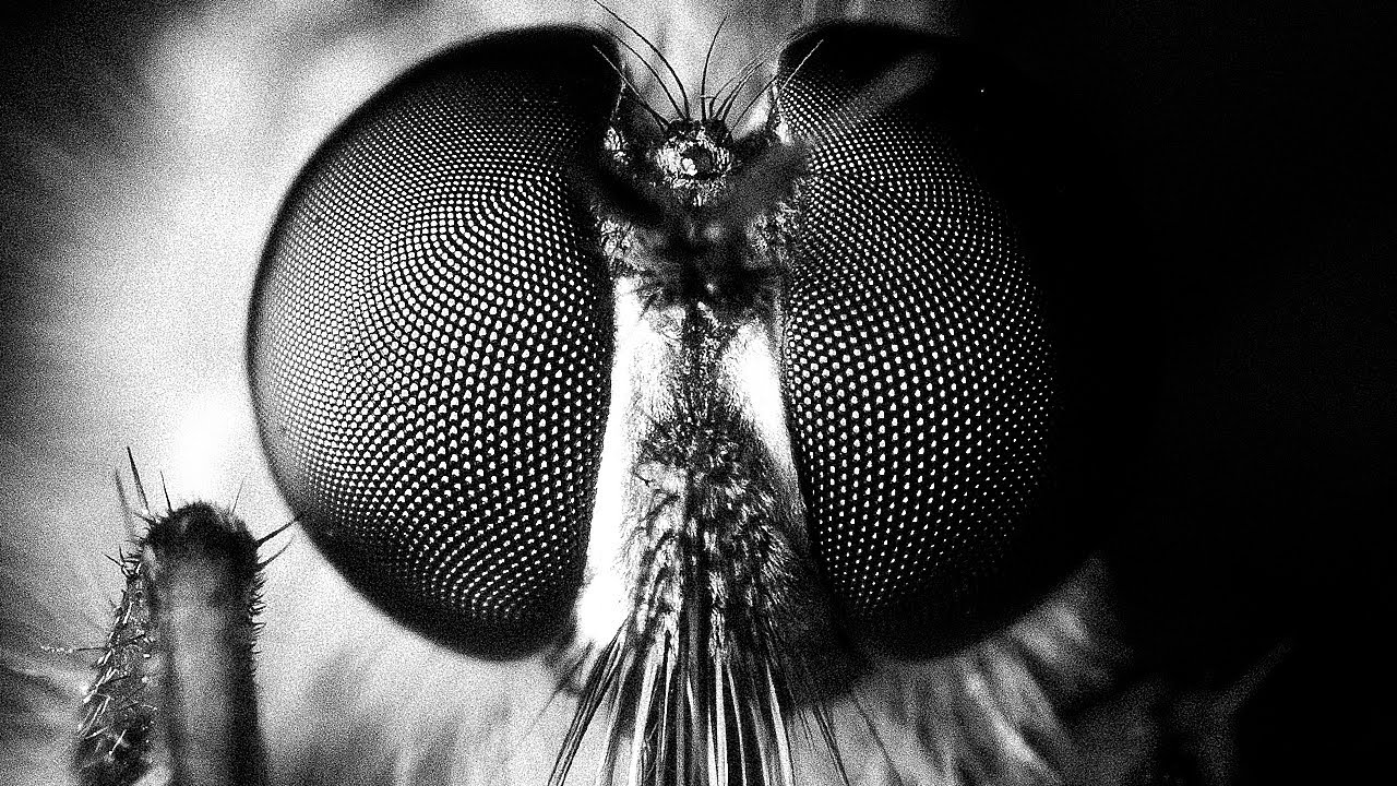 How to make your photos stand out