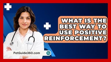 What Is The Best Way To Use Positive Reinforcement? - PetGuide360.com