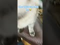 She won’t let me film😂