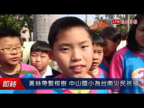 黃絲帶繫榕樹 中山國小為台南災民祈福 - 黃絲帶繫榕樹 中山國小為台南災民祈福