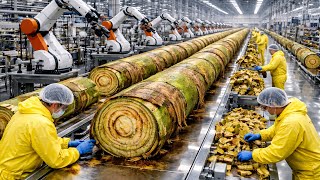 Ai Technology Exposed! : Inside The Largest High Tech Banana Stem Factory!