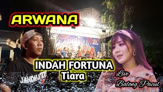 TIARA - Indah Fortuna | Cak Malik | ARWANA | CR Pro Audio | Live in Balong Pacul Nganjuk