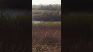 Nice sunny 🌞 day in 🇺🇸 #vlog #travel