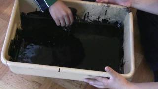 Science Fair Project - Ferrofluid