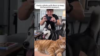 Dogs Are Family For A Lifetime.