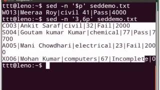 The sed command - English