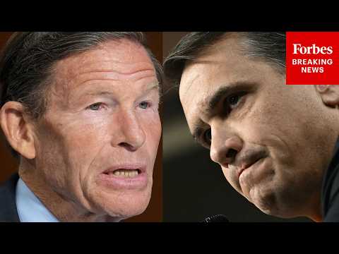 BREAKING NEWS: Blumenthal Asks Todd Blanche Point Blank To Apologize To Epstein Victims At Hearing