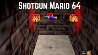 ショットガンでやりたい放題マリオ【Shotgun Mario 64】