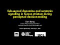 Sub Second Dopamine And Serotonin Signalling In Human Striatum During Perceptual Decision Making mp3