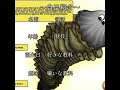 遅すぎた自己紹介