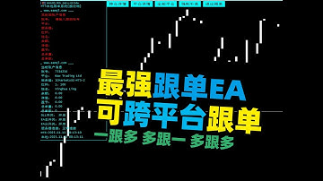 EA推荐：最强跟单系统！支持 MT4/MT5互跟 一跟多 多跟一 多跟多 同平台 跨平台！