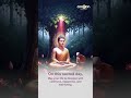 Happy Budh Purnima from Cocoon Hospital | Peace, Happiness &amp; Well-Being