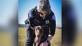 Dog with ziptied snout gets adopted by South Bend police officer who rescued him