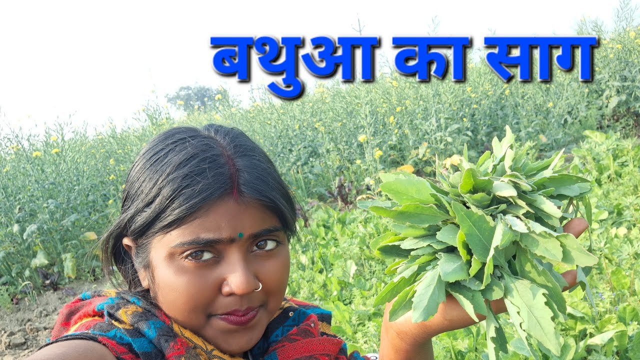 बथुआ का साग