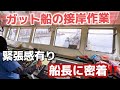 【2024】【ガット船】指定時間に向けてガット船を操って陸に向かう船長！ガット船接岸！ブリッジ【船橋】にカメラ密着‼️