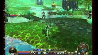 Funny aion bug