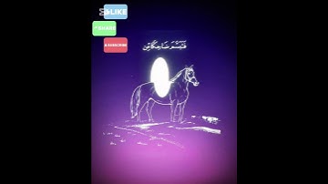 #سورة_النمل #ياسر_الدوسري #قرآن_كريم