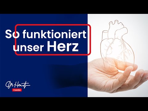 Wie funktioniert das Herz? | Dr. Heart