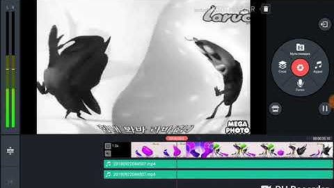 Larva Intro Wolf Major