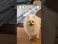 どんだけ待たせるんだ？