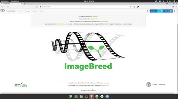 4) Viewing extracted measurements from aerial images in ImageBreed