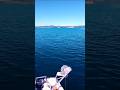 Al centro del Lago #lagodibolsena #natura2000 #cura