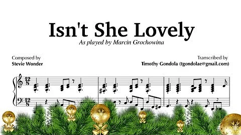 Isn't She Lovely| Marcin Grochowina (Transcription)