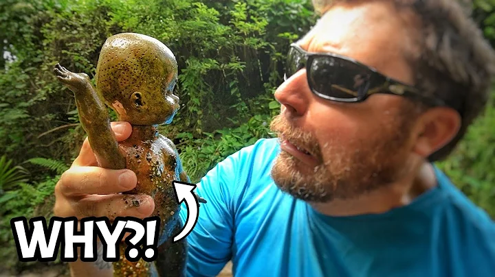 I FINALLY Made it Back to the Antique Bottle Creek...