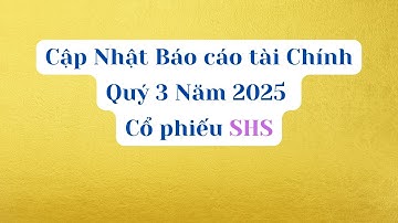 Cập Nhật Báo cáo tài chính Quý 3 Năm 2025 của cổ phiếu SHS