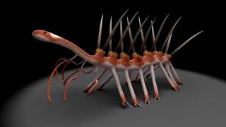 Walking Hallucigenia but with AOT S4 Part 2 Teaser Piano Music playing in the background