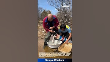 Fish catching for beginners: a simple guide to fish catching