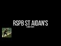 RSPB St Aidan's (West Yorkshire)