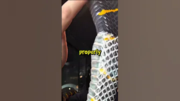Excess Snake Shedding Karim Wildlife Shorts 