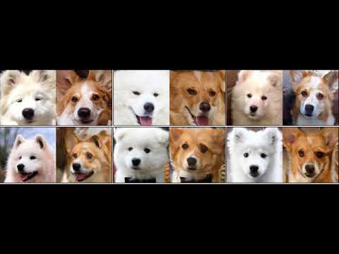 Intelig ncia artificial da Nvidia aprende sozinha a modificar v deos com precis o   Tecnoblog - 16