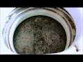 酸素系漂白剤（洗濯用）で5年使った洗濯槽を掃除！