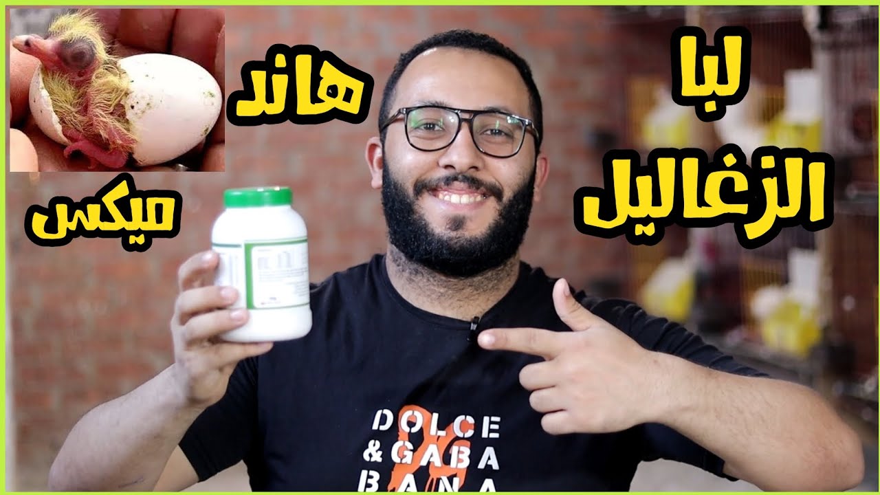 افضل ميكس ولبا يدوي لتأكيل الزغاليل | من انهاردة مفيش زغلول هيموت