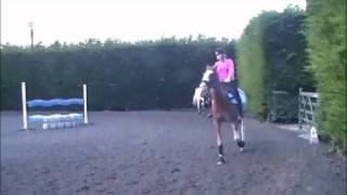 Dottie video flatwork lesson.wmv