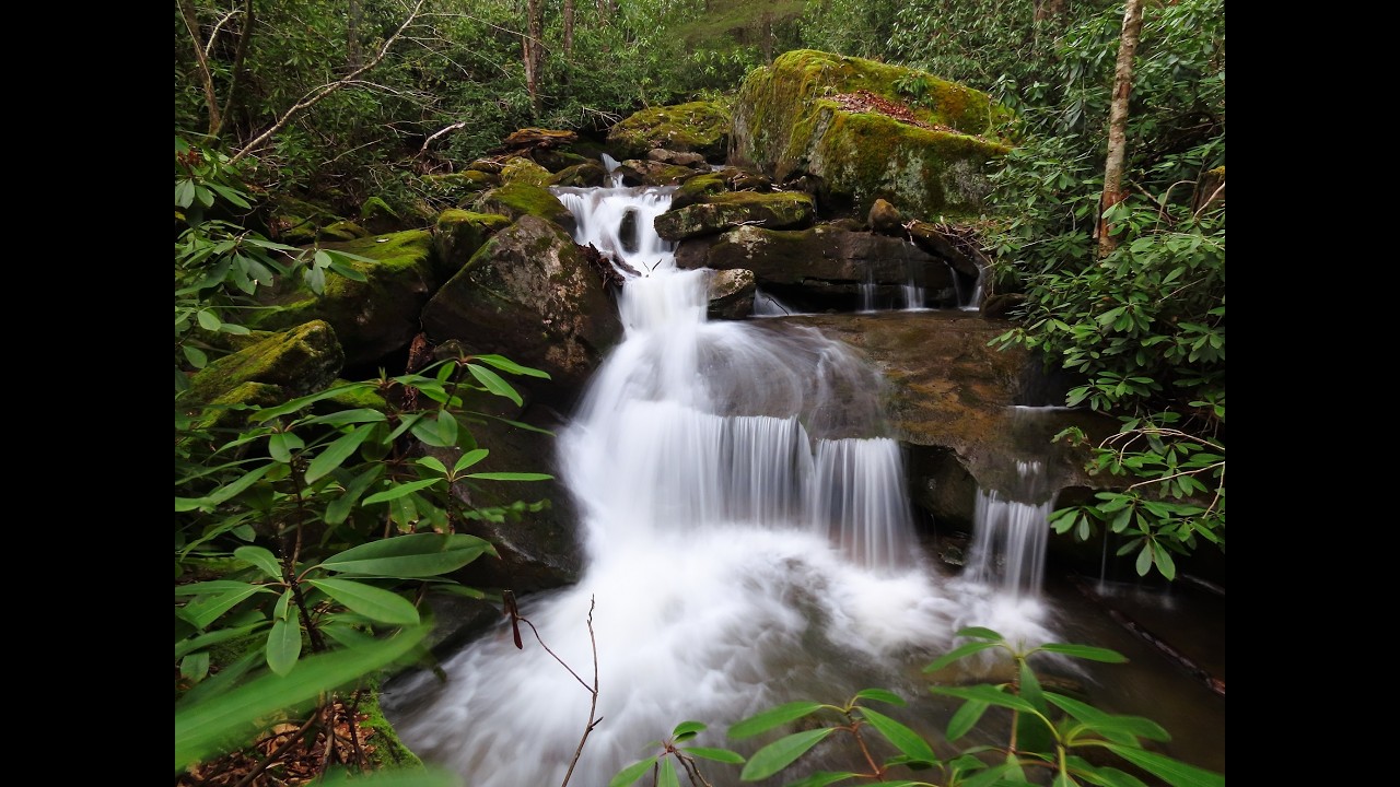 Church Run, Clarion River - Allegheny National Forest