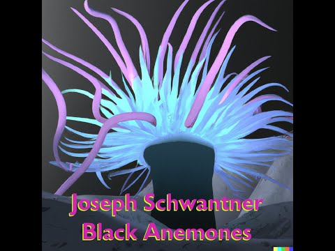 Joseph Schwantner - Black Anemones 1980 (Dawn Upshaw, Margot Garrett) + Score