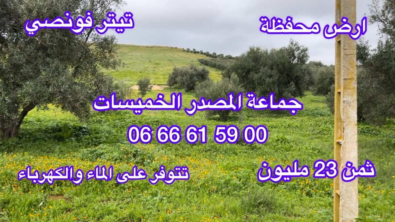 جوج اراضي فلاحية مساحتهم 6800و6900 متر محفضين متوفرين على عمود الكهرباء وماء لونيب