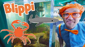 Blippi Learns About Sea Animals! | BEST OF BLIPPI | Blippi Toys | Educational Videos for Kids