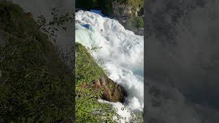 ASMR🔊 Rhine Falls(Nature Sounds)🎧Рейнский водопад #waterfall #nature #asmr #travel #shorts #Rèmén