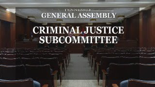 House Criminal Justice Subcommittee- March 19, 2024- House Hearing Room 2