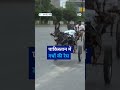 पाकिस्तान में गधों की रेस [ Donkey race in pakistan]